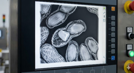 X-ray inspection of peanuts